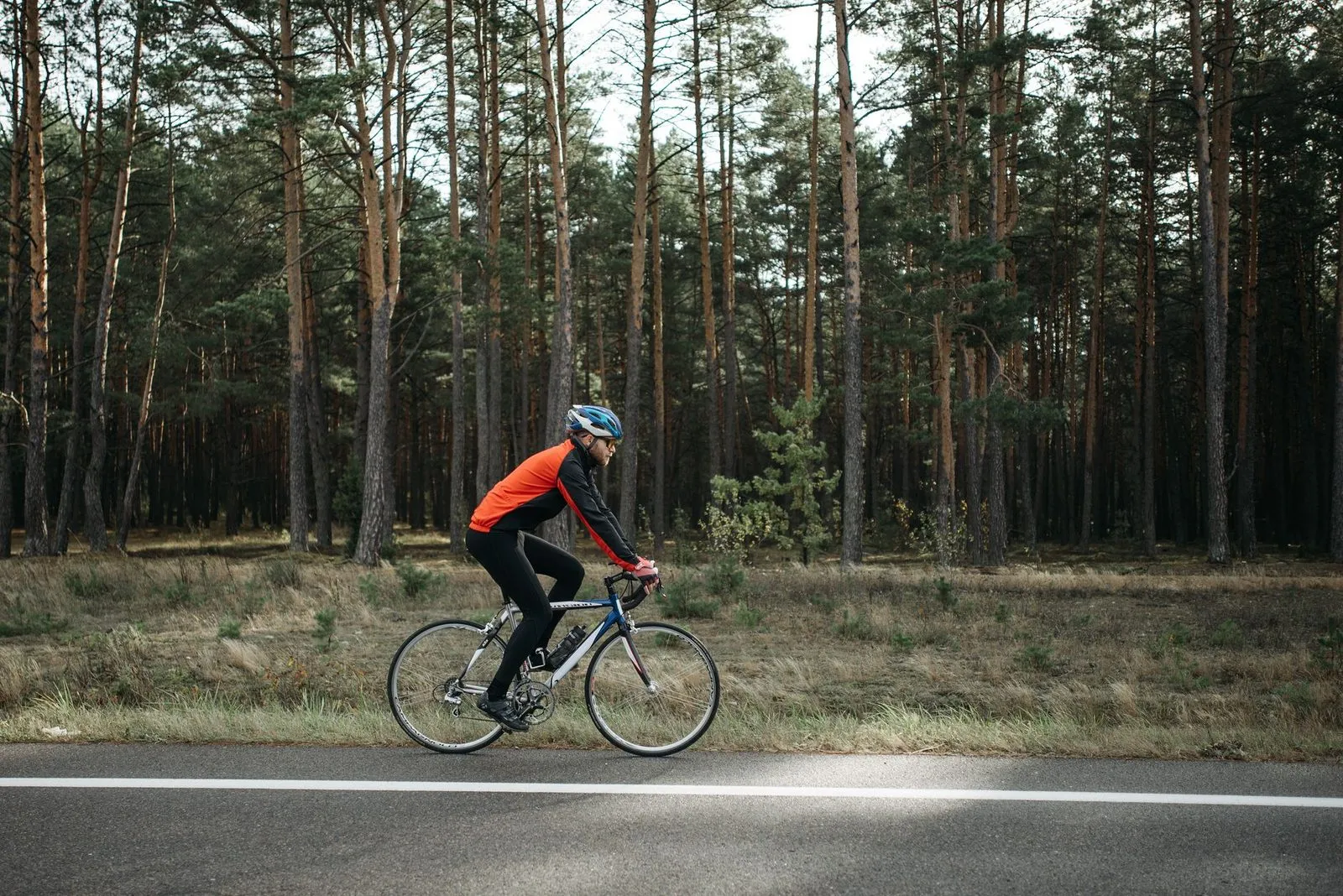 Cyklist på en landsväg genom en skog.