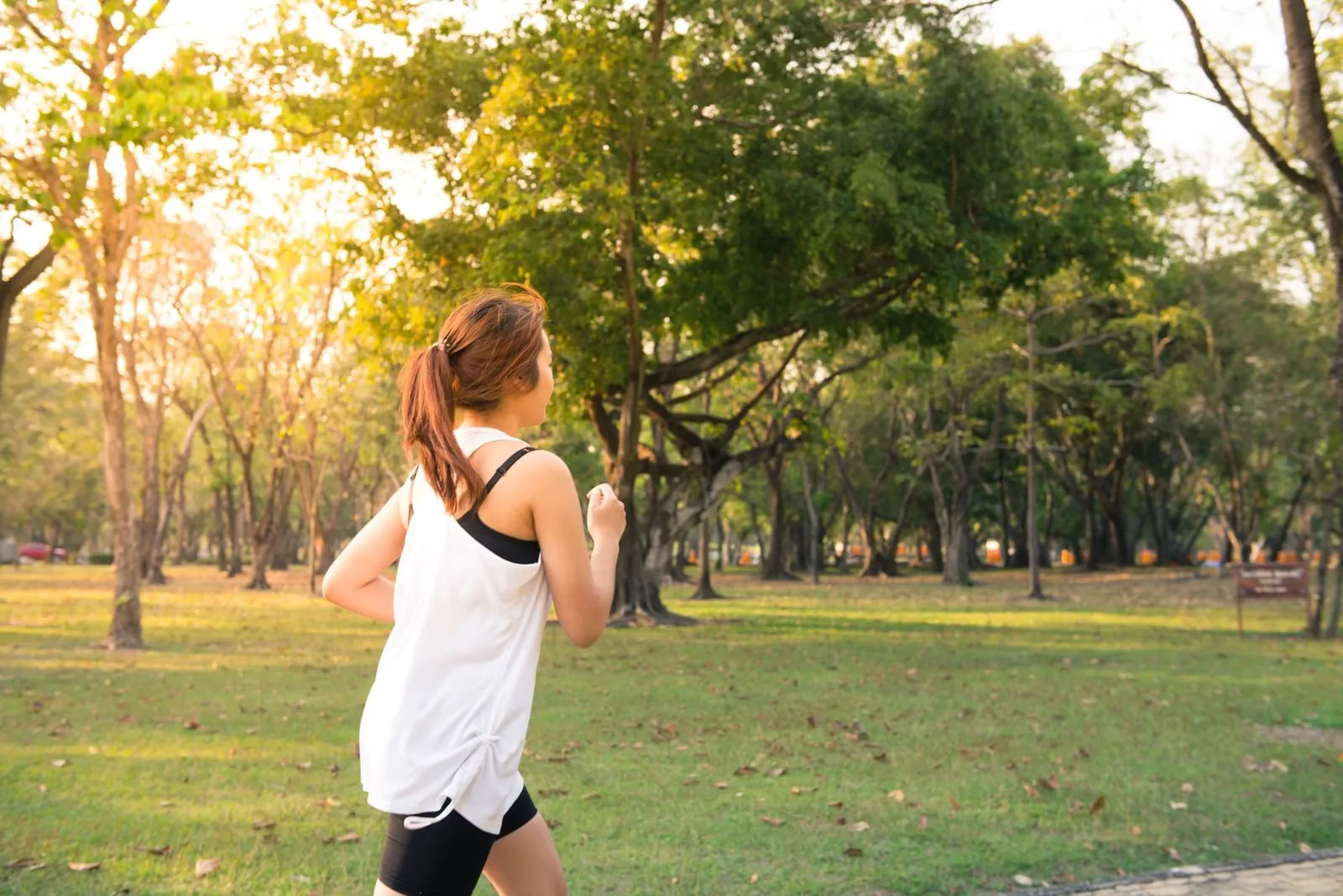Kvinna joggar i en skogspark en tidig morgon.